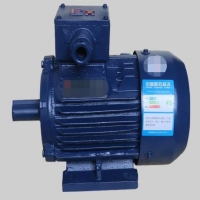兩個(gè)電容的單相電機(jī)怎么接正反轉(zhuǎn)呢